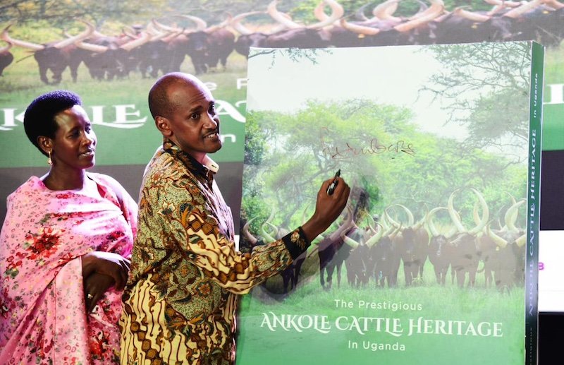 "Cattle Heritage Unveiled: NAGRC&DB Publishes Ankole History Book"